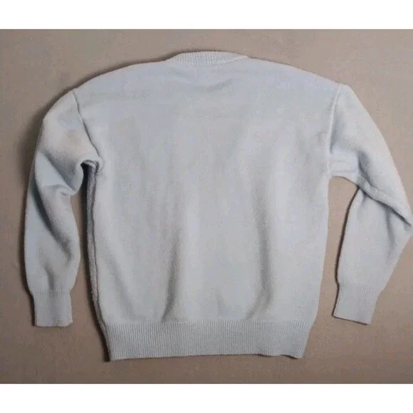 Aelfric Eden Men's Medium Blue Murder Goose Knit Pullover Sweater